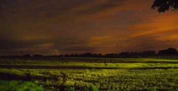 Tarlada Kadın Cesedi Bulundu
