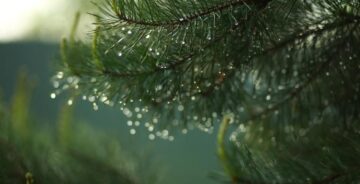 Denizli Yağışlı Havanın Etkisine Giriyor