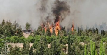 Denizli’de Bu Yıl 4 Bin 108 Hektar Alan Kül Oldu