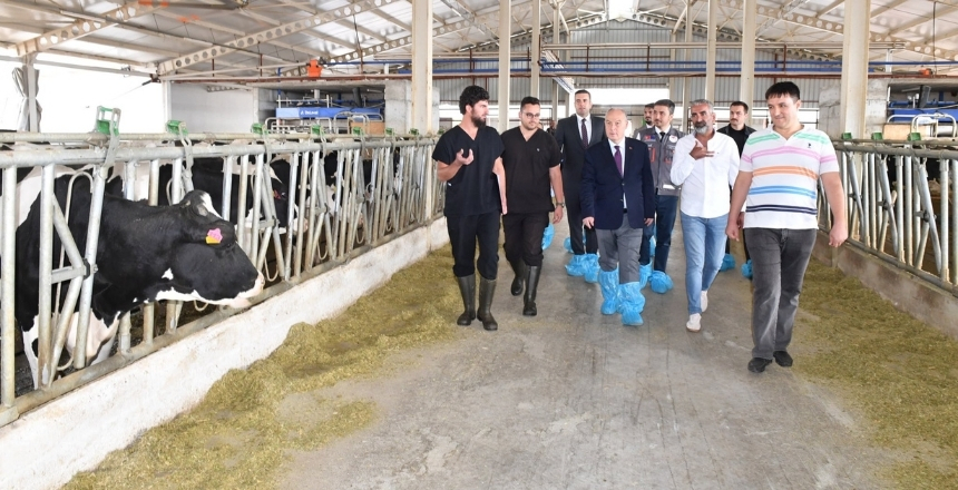 TKDK Desteğiyle Ekonomiye Büyük Katkı