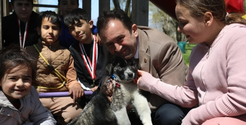 Acıpayam’da WAD Türkiye Şampiyonası