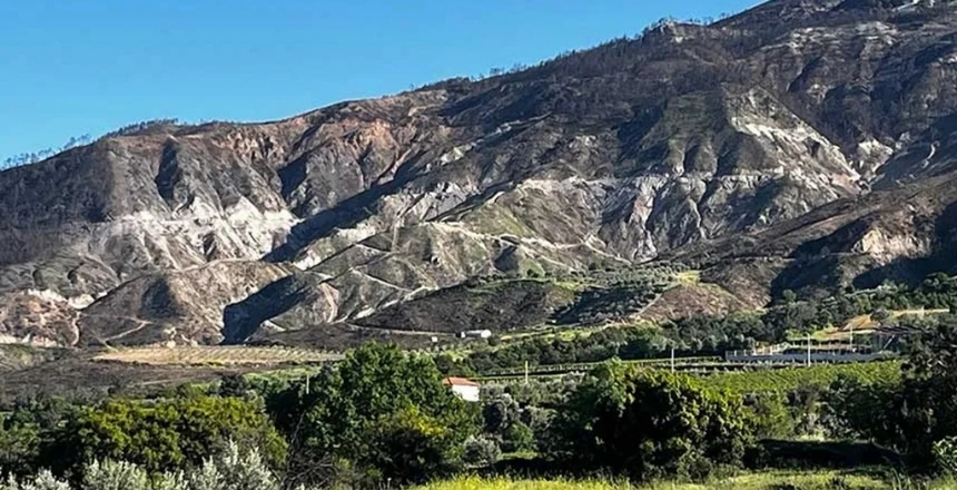 Buldan’daki Orman Yangınının İzleri Silinmedi
