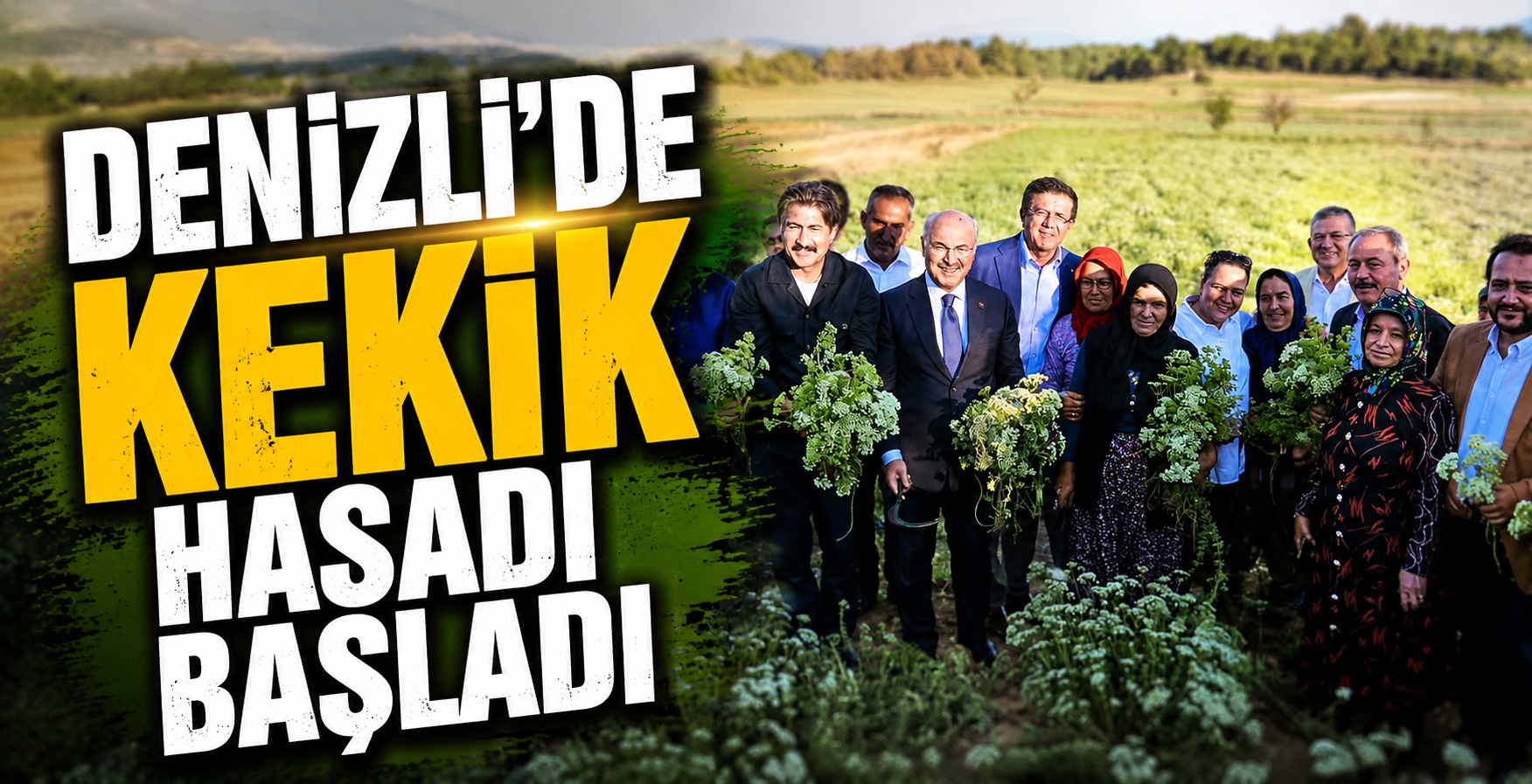 Denizli’de Kekik Hasadı Başladı
