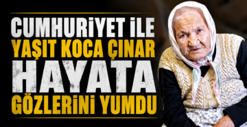 Cumhuriyet İle Yaşıt Koca Çınar Hayata Gözlerini Yumdu