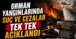 Orman Yangınlarında Suç Ve Cezalar Tek Tek Açıklandı
