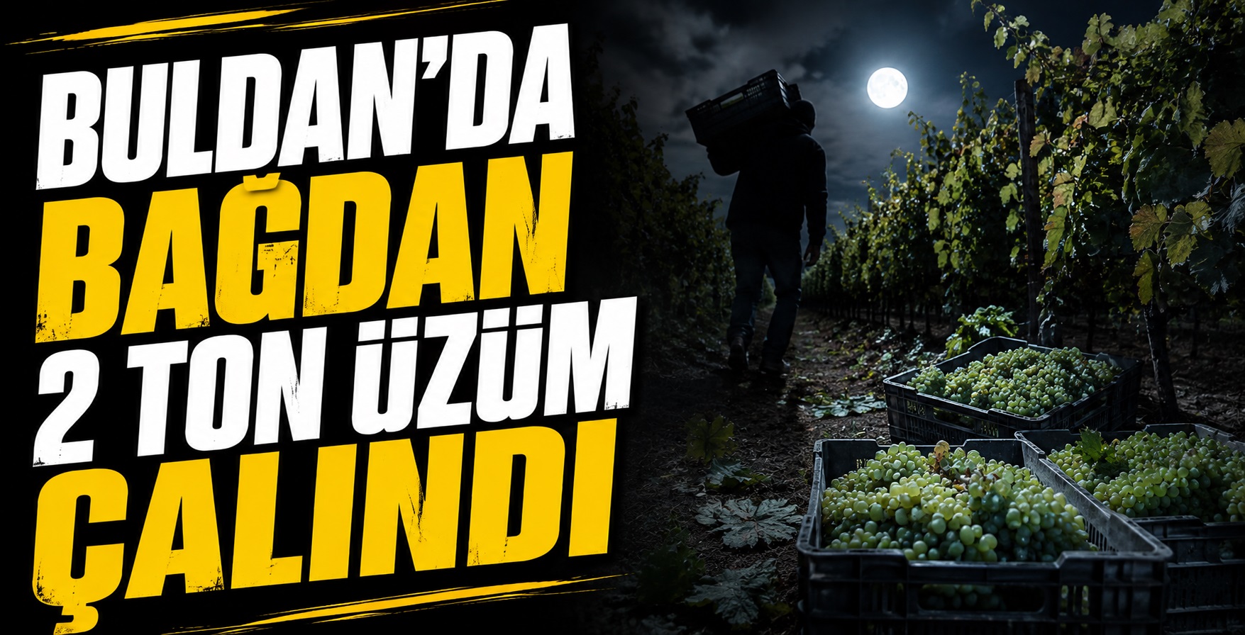 Buldan’da Bağdan 2 Ton Üzüm Çalındı