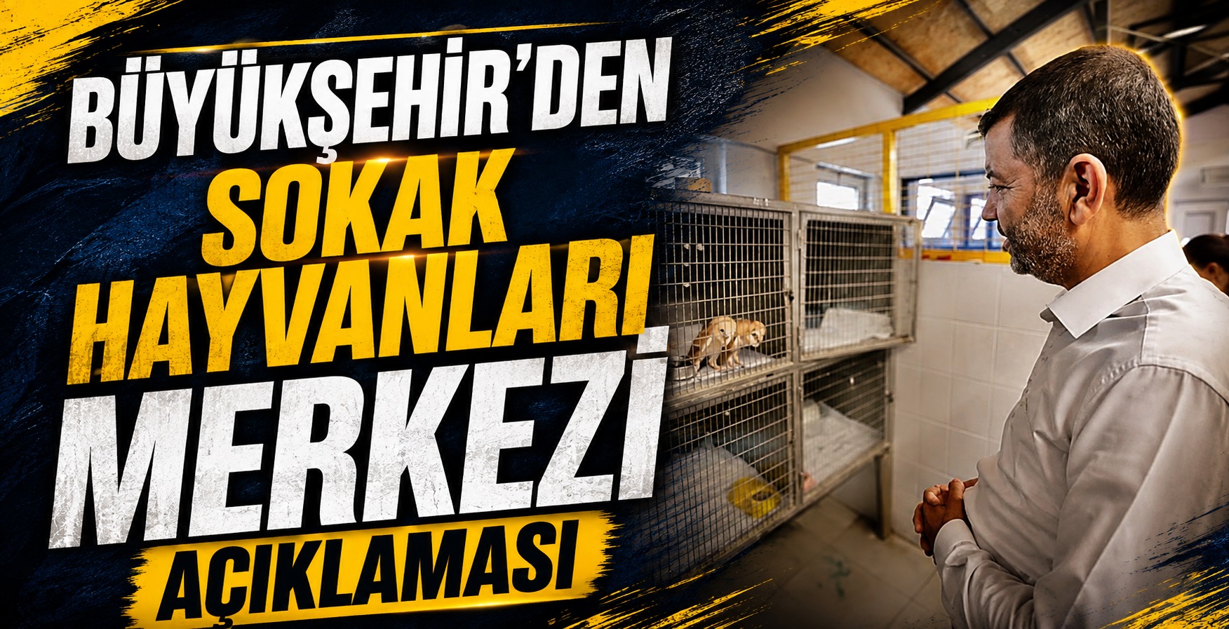 Denizli Büyükşehir Belediyesi’nden Sokak Hayvanları Merkezi Açıklaması