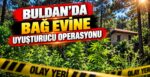 Buldan’da Bağ Evine Uyuşturucu Operasyonu
