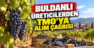 Buldanlı Üreticilerden TMO’ya Alım Çağrısı